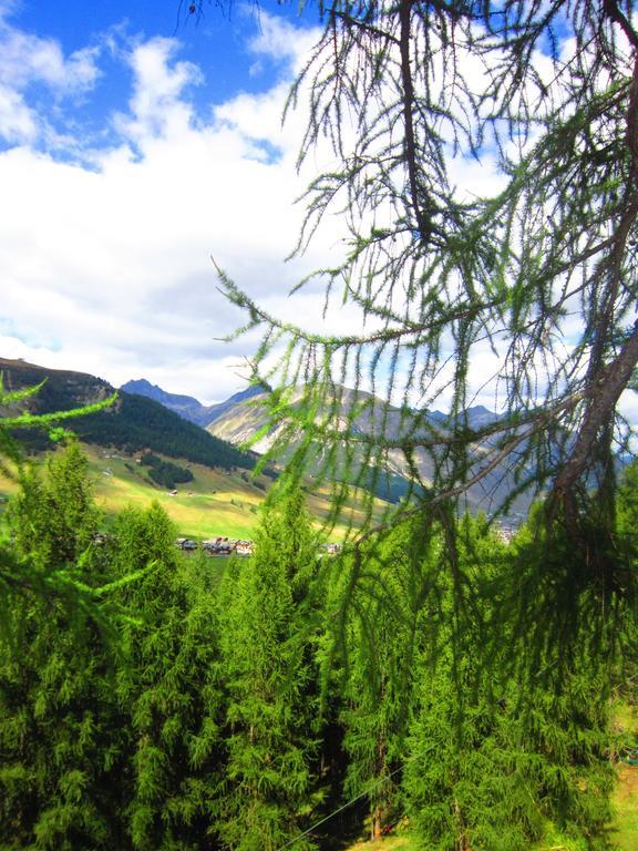 Canton 520 Matrimoniale E Self Check In Gasthuis Livigno