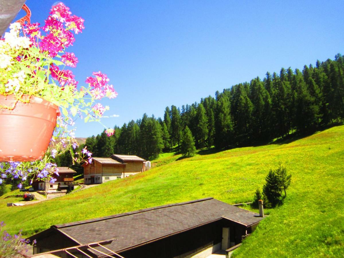 Canton 520 Matrimoniale E Self Check In Livigno